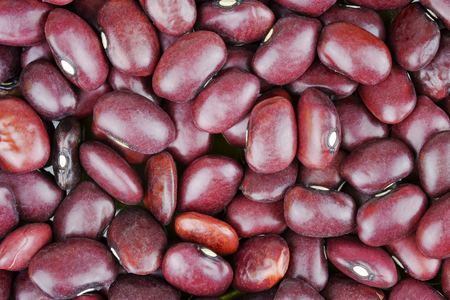 Macro of dry red beans. Can be ised as a background.の写真素材