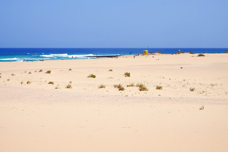 Beach Corralejo on the Canary Island Fuerteventura, Spain.