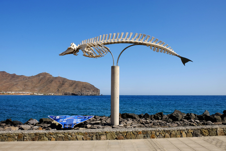 GRAN TARAJAL FUERTEVENTURA 10 FEBRUARY 2019 - The memorial skeleton of a sperm whale, cast ashore.のeditorial素材
