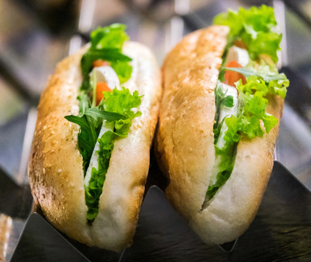 Two delicious sandwiches with cheese, tomato and green salad on the counter.
