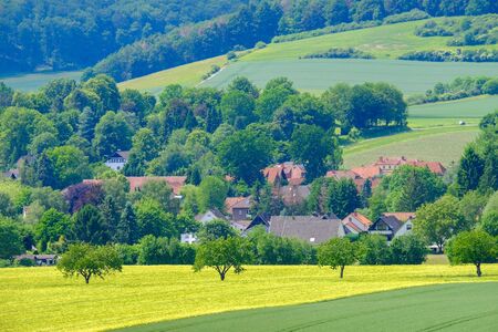 View on the agricultural fields with various types of grain in Bad Pyrmont, Germany.の写真素材