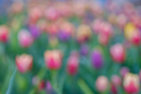 Beautiful blurred background, colorful natural background.の写真素材