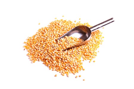 Corn with spatulaの写真素材