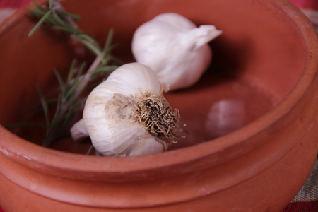 Garlic bulbsの写真素材