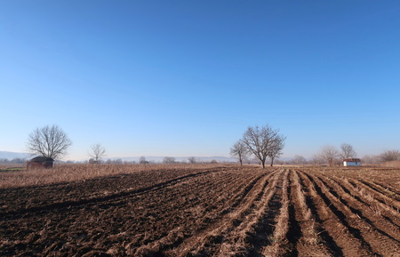 Plowed field in the countrysideの写真素材