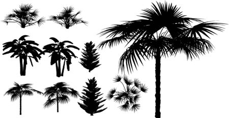 Tropical trees, grass, plant vectorのイラスト素材