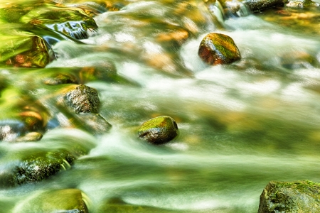 Details of a peaceful stream running the forest with the green and yellow colors reflecting in the waterの写真素材