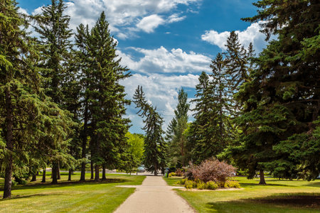 President Murray Park in Saskatoon, Saskatchewan, Canadaの写真素材