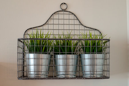 A metal basket with three potted plants in it. The basket is hanging on a wall. The plants are green and appear to be healthyの写真素材