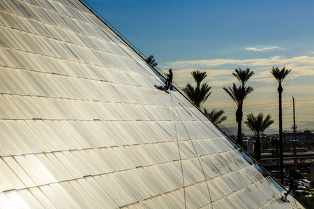 A man is climbing a building with a white roof. The building is surrounded by palm trees. The man is...