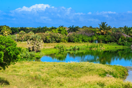 A lush green field with a body of water in the middle. The water is calm and reflects the surrounding trees and skyの写真素材