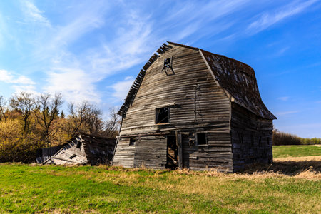 A large, old barn with a lot of wood on it. The barn is in a field with a lot of grass