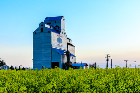A large grain silo with a blue roof sits in a field of tall green grass. The sky is clear and blue, and the sun is low in the sky. The scene is peaceful and sereneの写真素材