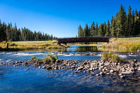 A bridge spans a river with a lush green forest on either side. The water is calm and clear, and the...