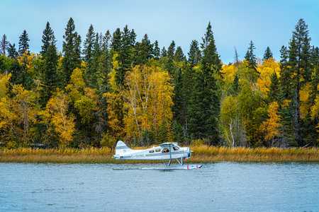 A small plane is sitting on the water near a forest. The scene is peaceful and serene, with the...