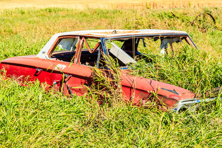 A red car is covered in grass and weeds. The car is old and rusted. The grass is tall and greenの写真素材