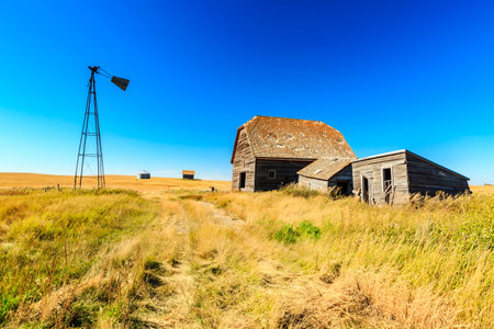 A windmill is in the foreground of a field with a barn in the background. The scene is peaceful and serene, with the windmill providing a sense of nostalgiaの写真素材