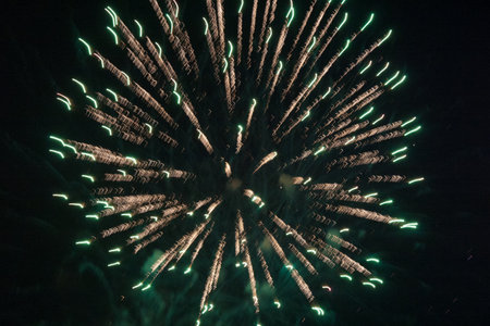 A firework is lit up in the night sky. The firework is green and yellow