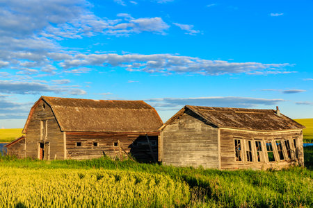 A farm with a barn and a house. The barn is old and the house is also old. The sky is blue and there are cloudsの写真素材