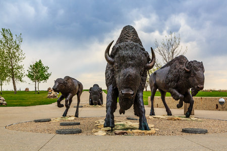 A bronze statue of three buffalo with one of them looking at the camera. The statue is surrounded by...