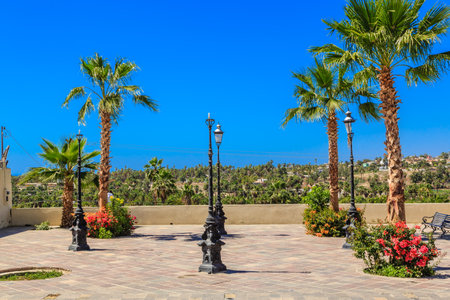 A beautiful outdoor setting with palm trees and a blue sky. The scene is peaceful and relaxing, with a sense of calmness and serenityの写真素材