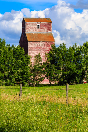 An old grain elevator in the trees. The silo is surrounded by a field of grassの写真素材