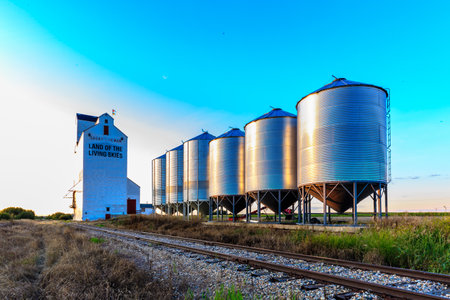 A row of silos are in front of a grain silo. The silos are silver and the grain silo is white