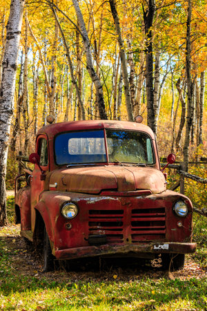 An old red truck is parked in a forest. The truck is rusty and has a faded red color. The forest is full of trees and the sunlight is shining through the leaves. The scene gives off a nostalgicの写真素材