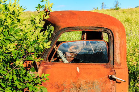 An old rusty truck with a broken window sits in a field. The view from the window is obscured by the tree branchesの写真素材