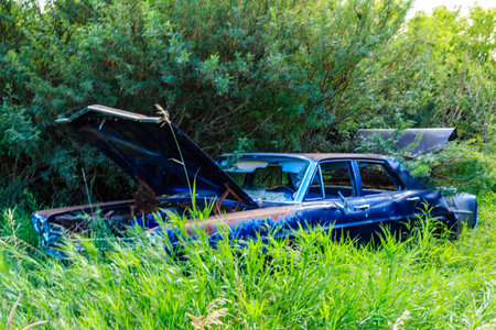 A blue car is sitting in a grassy field. The car is old and rusted, and the hood is open. The car is surrounded by tall grass, and it is abandoned. The scene has a sense of decay and neglectの写真素材