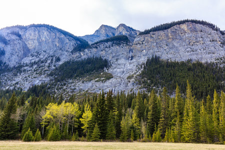 A mountain range with a large waterfall in the middle. The mountains are covered in trees and the sky is cloudyの写真素材