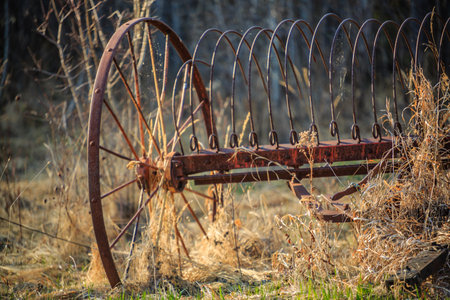 An old rusty plow wheel is sitting in a field of tall grass. The wheel is rusted and worn, and it is abandoned. Concept of nostalgia and the passage of timeの写真素材