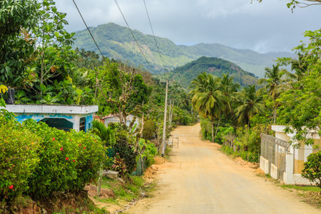 A dirt road with a few houses and palm trees in the background. The road is not paved and is in a rural areaの写真素材
