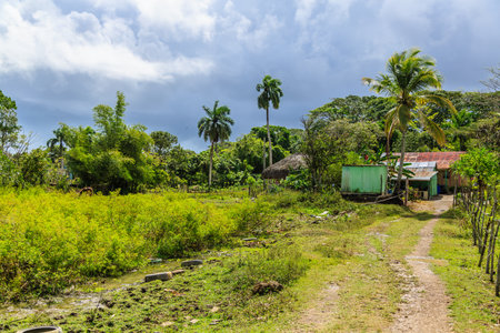 A rural area with a dirt road and a house. The sky is cloudy and the grass is greenの写真素材