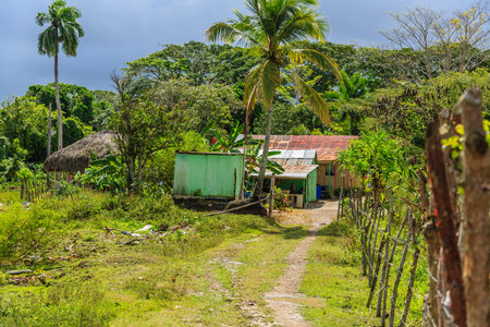A small village with a green house and a few other houses. The houses are made of wood and are surrounded by a fence. The village is located in a lush green fieldの写真素材