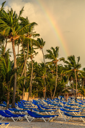 A beach with a lot of chairs and palm trees. The chairs are blue and white. The sky is cloudy and there is a rainbow in the skyの写真素材