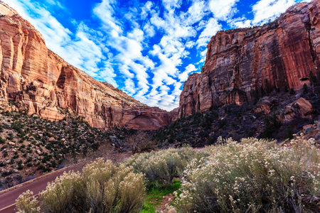 A mountain range with a road running through it. The road is lined with bushes and flowers. The sky is blue with some cloudsの写真素材
