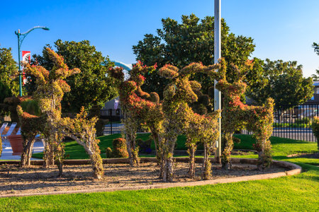A group of fake deer are arranged in a circle in a park. The fake deer are made of bushes and are placed in a grassy area. The scene has a whimsical and playful mood, as the fake deer are not realの写真素材
