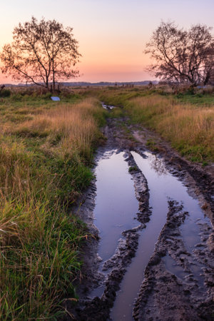 A muddy road with a sunset in the background. The road is wet and muddy, and the sky is orange and...