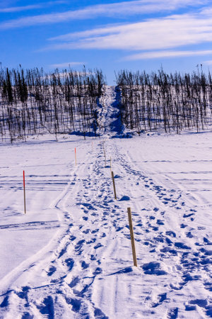 A snowy landscape with a path leading through it. The path is marked by a series of orange flagsの写真素材