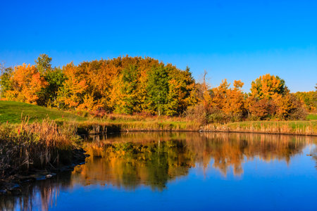A beautiful lake with trees in the background. The water is calm and the sky is clear. The scene is peaceful and sereneの写真素材