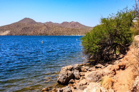 A body of water with a rocky shoreline and a tree in the foreground. The water is calm and clear, and the sky is blueの写真素材