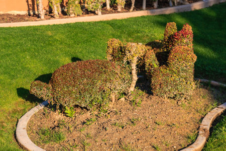 A small garden with a turtle shaped bush in the middle. The bush is surrounded by other bushes and a stone borderの写真素材