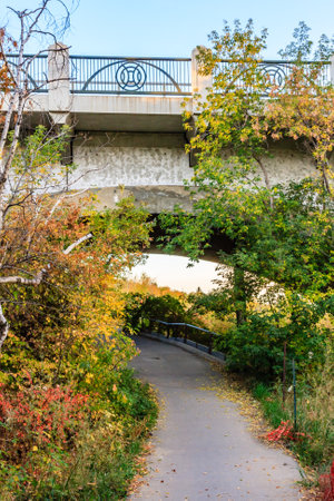 A bridge with a path underneath it. The path is lined with trees and the leaves are changing colorsの写真素材