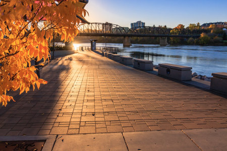 A bridge spans a river with a brick walkway on the other side. The walkway is lined with benches and a tree with yellow leavesの写真素材