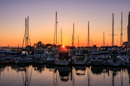 A group of sailboats are docked at a marina, with the sun setting in the backgroundの写真素材