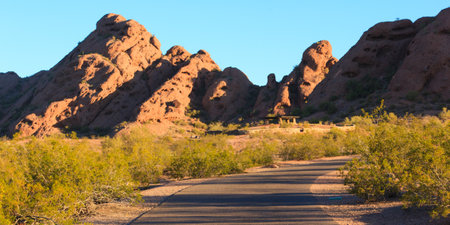 A road runs through a desert with a bench on the side. The bench is empty. The road is paved and the sky is blueの写真素材