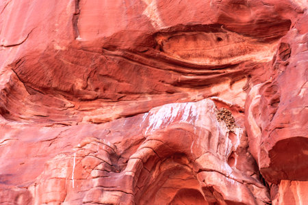 A rock wall with a face carved into it. The face is carved into the rock and is very detailedの写真素材