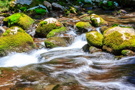 A stream of water flows past a rocky bank. The water is clear and the rocks are covered in moss