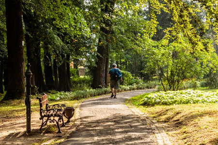 A man is walking down a path in a park. The path is lined with trees and there is a bench nearby....
